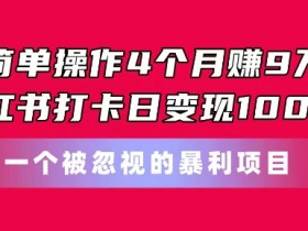 4个月赚9w的小红书打卡项目：日变现1k的暴力副业揭秘-54创业网