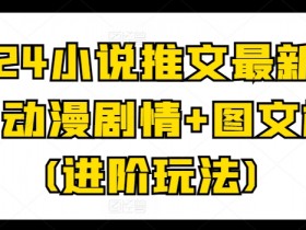 2024小说推文进阶玩法：动漫剧情+图文标记，最新爆款技巧-54创业网