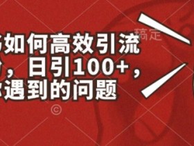 小红书高效引流创业粉：日引100+实战技巧大揭秘-54创业网
