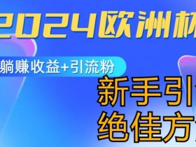 2024欧洲杯赚钱攻略：新手小白躺赚引流绝佳项目揭秘-54创业网