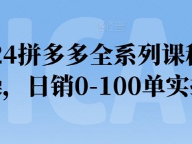 2024拼多多运营实操课：0-100单速成指南，新手必看爆单技巧-54创业网