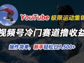 YouTube搬运极限运动视频：冷门赛道暴力起号，日入500+实操揭秘-54创业网