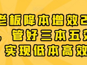 老板降本增效20讲：管好三本五效，低本高效管理秘籍-54创业网