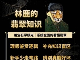 林鹿教你用宝石眼光看懂翡翠：系统全面的翡翠知识指南-54创业网