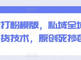 私域全域打粉干货技术：原创死抄袭生？揭秘高效打粉模版-54创业网