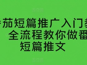 番茄短篇推广教程：零基础学会番茄推文全流程技巧-54创业网