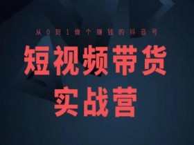 短视频带货赚钱秘籍：0基础打造高收益抖音号(高阶实战课)-54创业网
