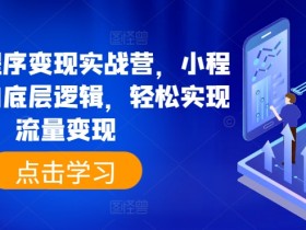 抖音小程序变现攻略：3步掌握底层逻辑，轻松赚取流量收益-54创业网