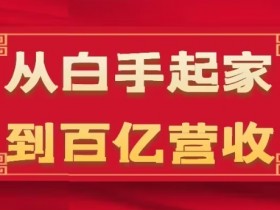 白手起家到百亿营收：35年企业危机管理17课，揭秘百亿增长法则-54创业网