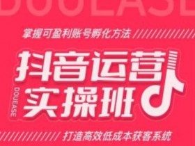 抖音运营实操班：低成本高效获客，手把手教你孵化盈利账号-54创业网