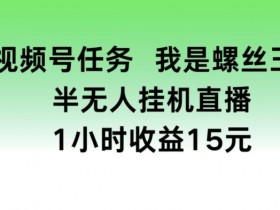 半无人直播1小时赚15元？螺丝王视频号任务收益揭秘！-54创业网