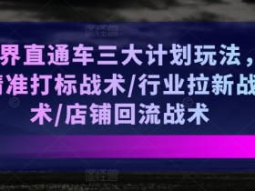 无界直通车3大计划玩法：精准打标+行业拉新+店铺回流战术解析-54创业网
