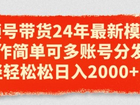 24年视频号带货最新玩法：多账号分发日入2k，小白也能轻松上手-54创业网