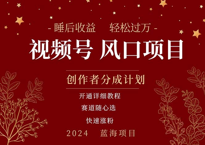睡眠收益项目：微信视频号风口，月入过万+多赛道可选-54创业网