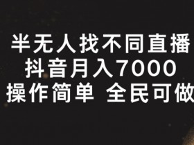 半无人找不同直播赚钱秘籍：月入7000+简单操作 全民可做项目揭秘-54创业网