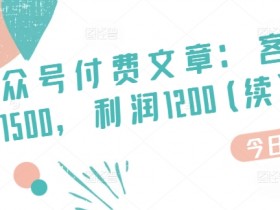 高利润空白市场：客单价1500利润1200，揭秘暴利项目-54创业网