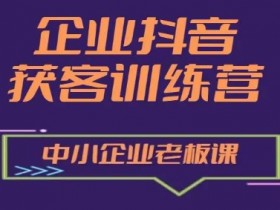 中小企业抖音营销获客训练营：老板必修的流量增长实战课-54创业网