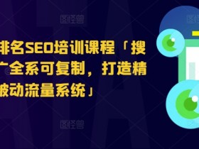 搜索引擎排名SEO培训：可复制的推广技巧，打造精准被动流量系统-54创业网