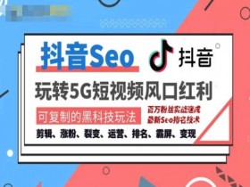 抖音SEO培训：快速排名引流变现，抓住风口精准获客-54创业网