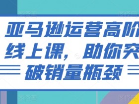 亚马逊运营高阶课：3招突破销量瓶颈，线上实操速成-54创业网