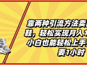 莆田高端鞋赚钱秘籍：2种引流法月入1W+，1小时/天小白速成攻略-54创业网