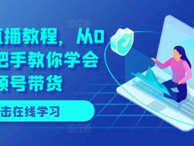0基础视频号直播带货教程：手把手教你从0到1轻松赚钱-54创业网