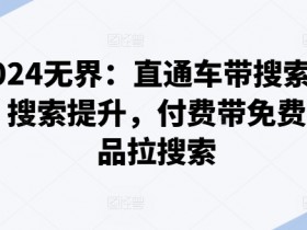 2024无界直通车带搜索玩法：快速提升搜索流量，爆品带动免费流量-54创业网