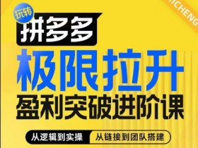 拼多多盈利突破进阶课：算法玩法+团队搭建，系统提升商家利润-54创业网