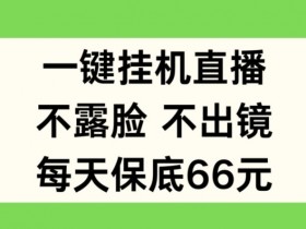 不露脸直播赚钱：一键自动运行，每天保底66元【揭秘】-54创业网