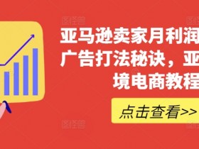 亚马逊跨境电商广告打法：月利润百万的卖家秘诀教程-54创业网