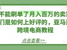 亚马逊卖家必看：不刷单也能月入百万的跨境电商好评获取秘籍-54创业网