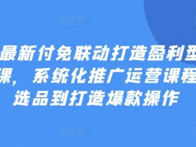 2024付免联动打造盈利店铺实操课：选品到爆款系统化推广运营-54创业网