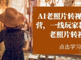 AI老照片转视频教程：一线玩家手把手教你用AI让照片动起来-54创业网