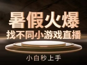 暑假找不同游戏直播：小白秒上手技巧揭秘，火爆直播间等你来玩-54创业网