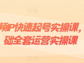 短视频IP起号教程：0基础运营到变现，爆款内容+涨粉实战-54创业网