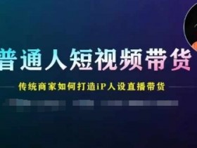普通人短视频带货技巧：传统商家IP人设直播带货实战指南-54创业网