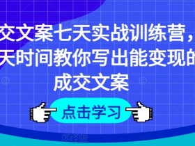 7天成交文案实战营：手把手教你写出高转化变现文案-54创业网