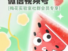 梅花实验室2024年AB技术视频号：AB合成破解版教程-54创业网