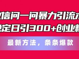 微信问一问引流秘籍：日引300+创业粉实战技巧，最新爆款方法大揭秘-54创业网