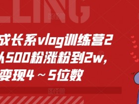 个人成长vlog训练营2期：500粉涨到2w+，轻松变现4～5位数-54创业网