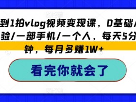 0基础拍vlog赚钱：手机5分钟日更，0经验月入1W+的变现课-54创业网