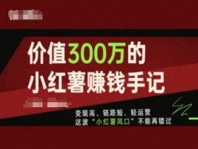 300万小红书赚钱手记：变现快、运营轻、红利风口，小白也能月入5万-54创业网