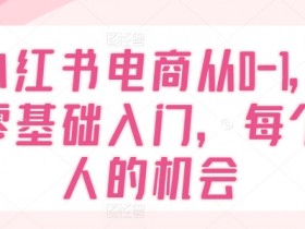 小红书电商零基础入门教程：从0-1轻松开店，抓住你的赚钱机会-54创业网