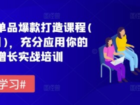 拼多多爆款打造课程6月新版：流量增长实战培训，快速提升销量-54创业网