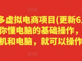 拼多多虚拟电商项目(6月新版)：0基础电脑操作+手机即可轻松赚钱-54创业网