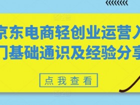 京东电商创业新手必看：轻运营入门技巧与实战经验分享-54创业网