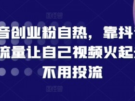 抖音自然流量涨粉秘籍：0投流让视频爆火，创业粉必看！-54创业网