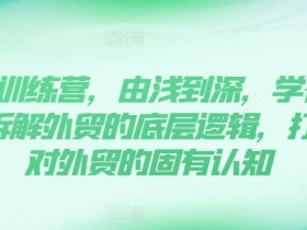 外贸训练营：零基础速成外贸高手，拆解底层逻辑打破认知-54创业网