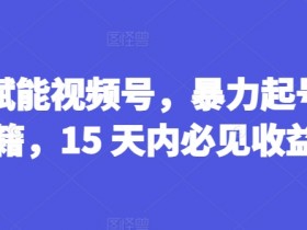 AI视频号运营秘籍：15天暴力起号变现技巧大公开-54创业网