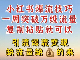 小红书爆流秘籍：7天万级流量速成，复制粘贴轻松引流变现-54创业网